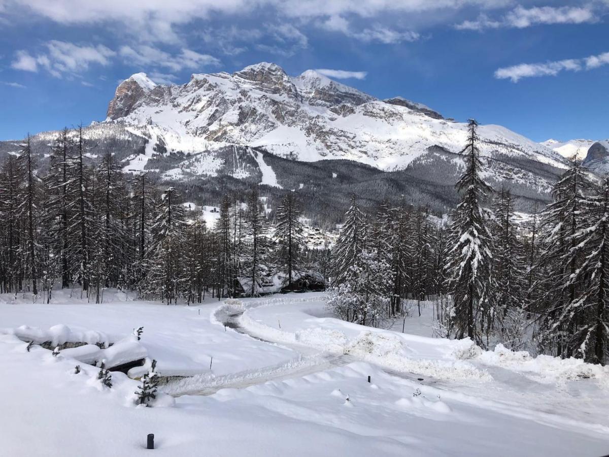 Luxury Panoramic 3Br Apt 2Min To Centre 5Min To Lifts Cortina d'Ampezzo Exterior photo